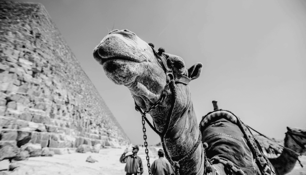 Egypt Travel Tips