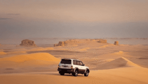 Safari Tourism Egypt