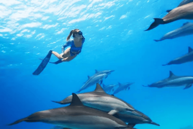 1-day tour in Hurghada