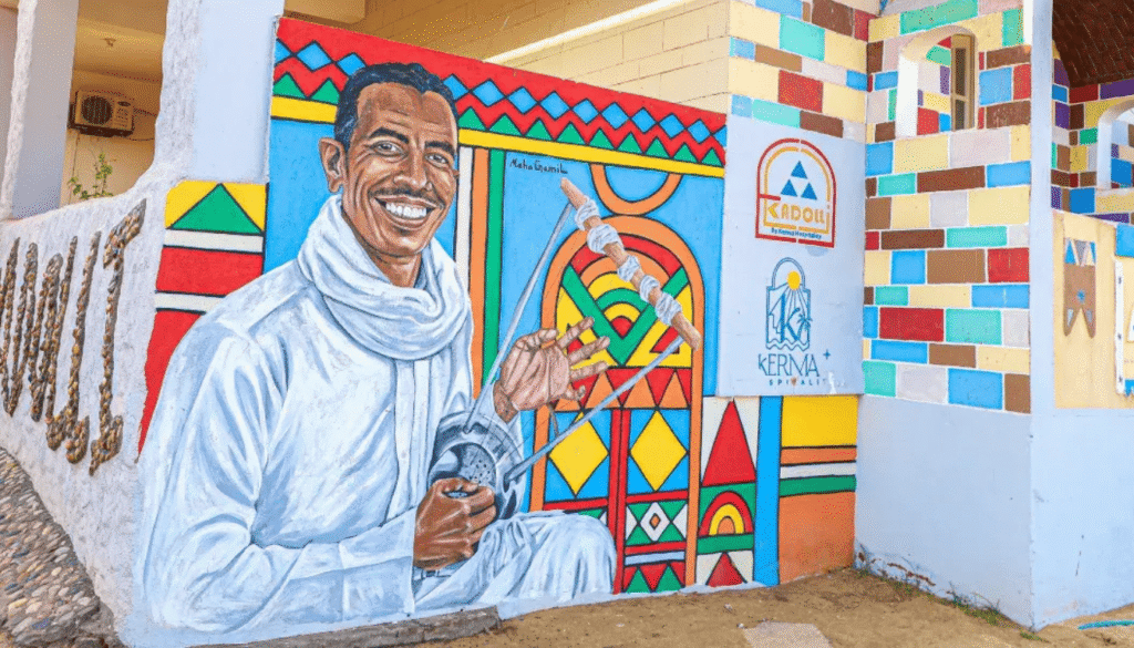 Aswan luxury guest house 2