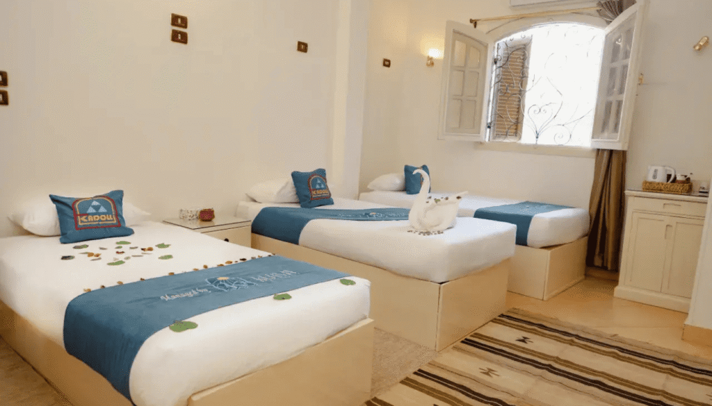 Aswan luxury guest house 3