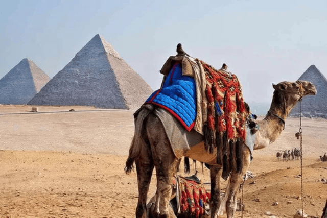 Cairo Tour Pyramids & Egyptian Museum from Hurghada