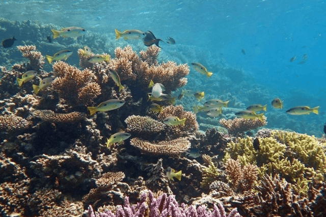 Egypt beach destinations