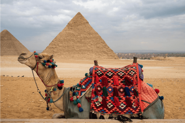 Egypt travel guide