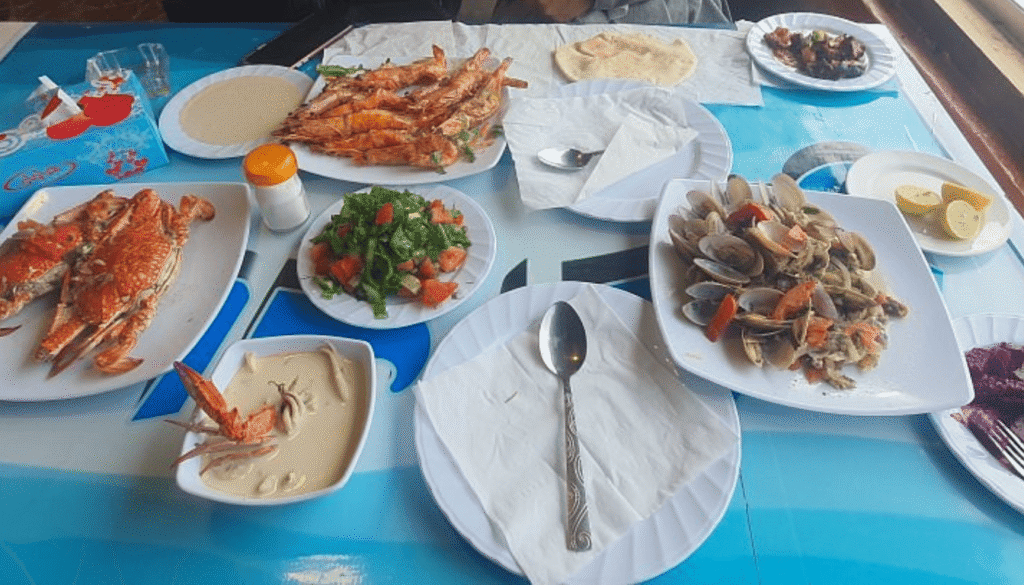 El Lol The Extreme Freshness Experience