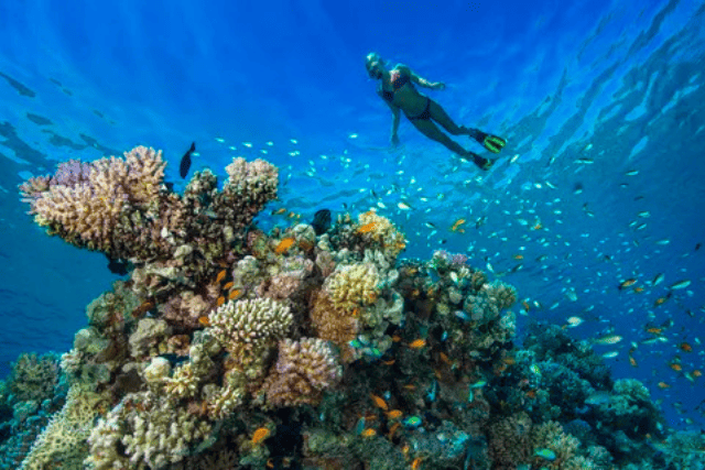 Hurghada Orange Bay Island Snorkeling