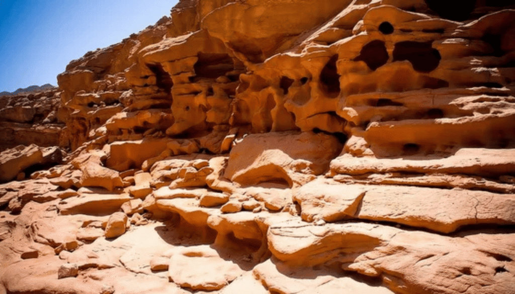 Ras Mohammed adventure Sharm El Sheikh