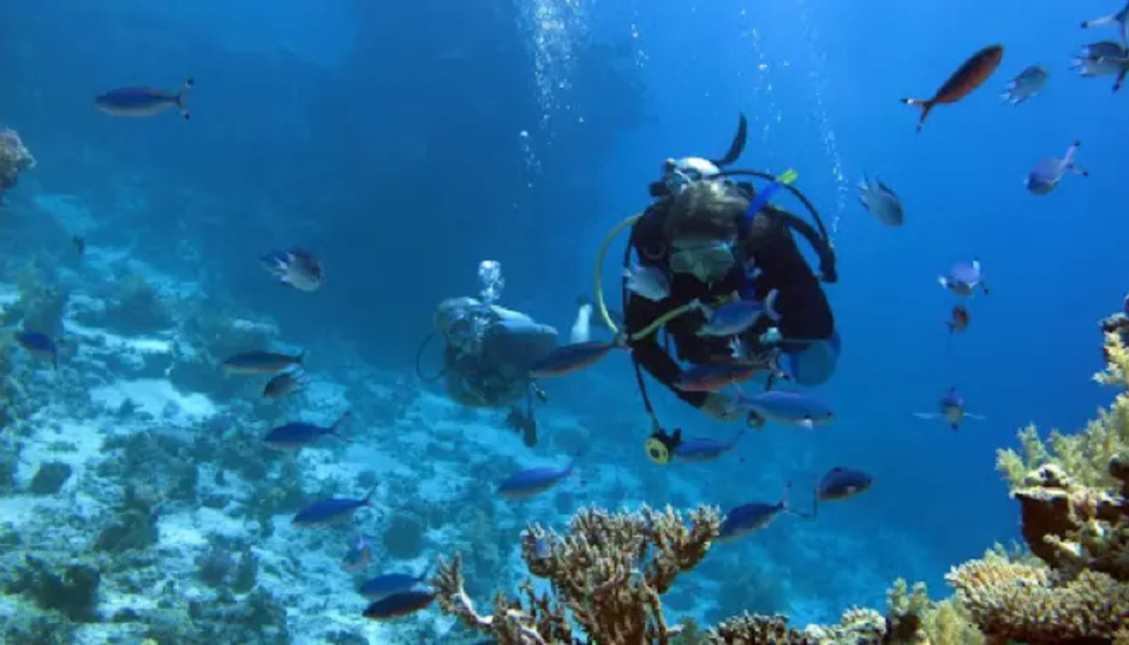 Ras Nasrani Beach Sharm El Sheikh