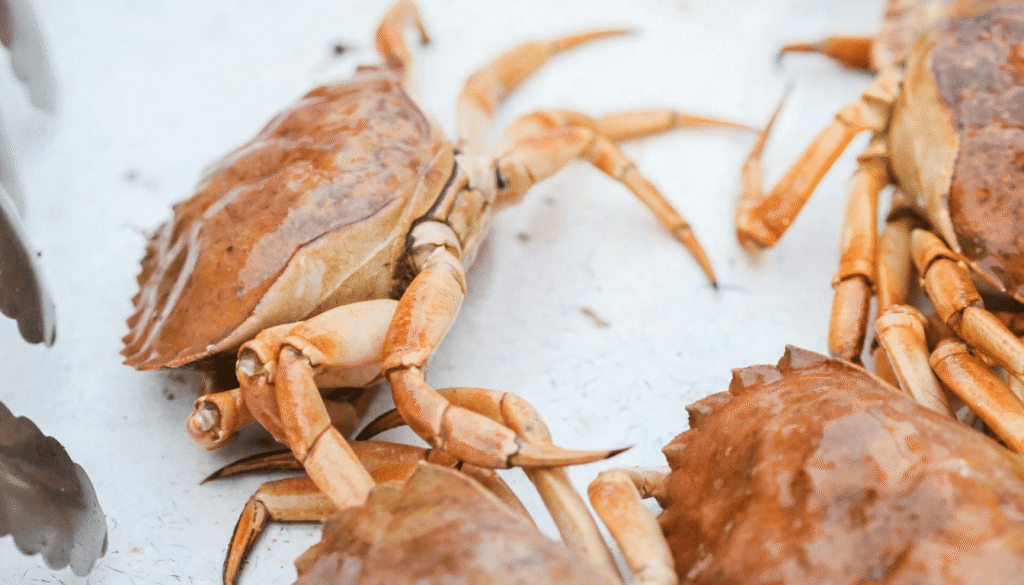 alexandria local seafood restaurants