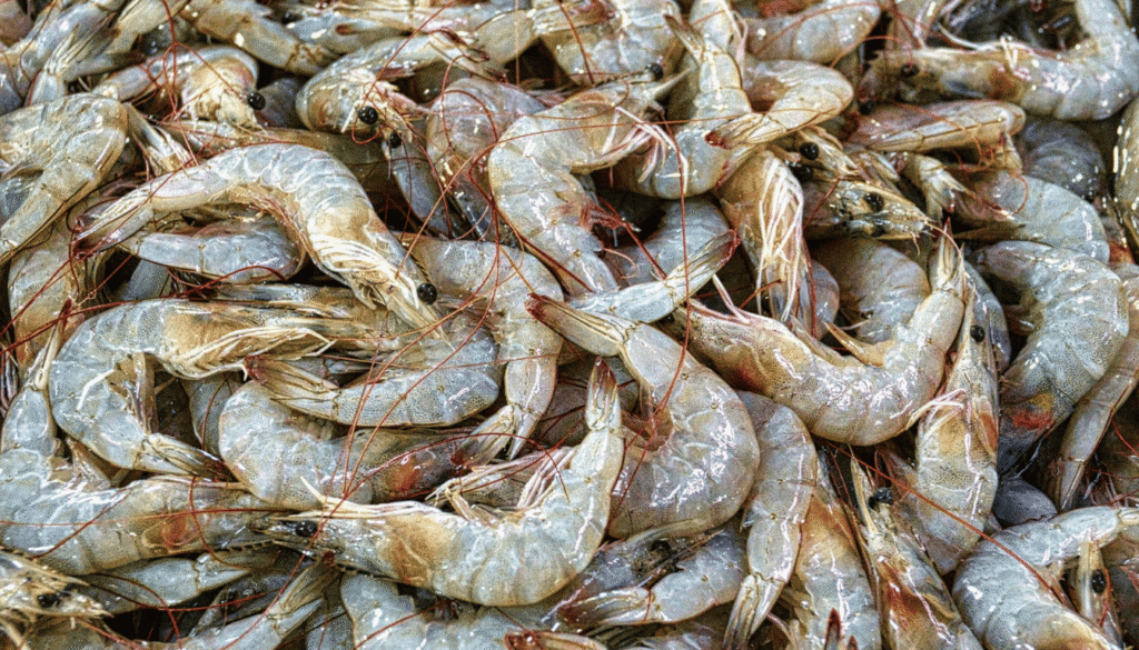 alexandria travel food guide