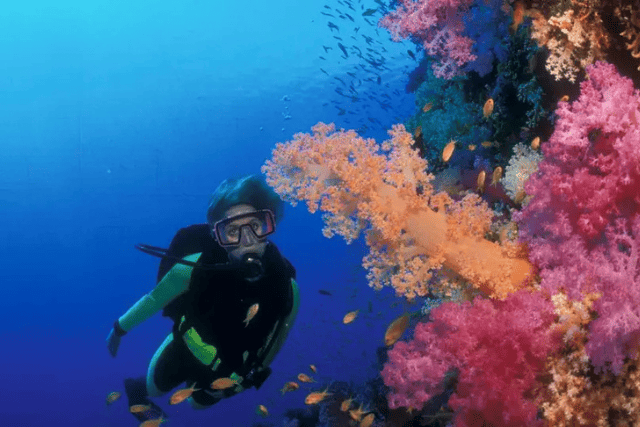best dive sites in Egypt