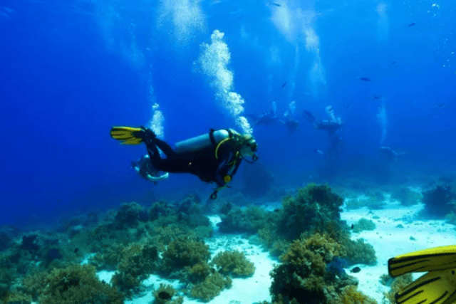 scuba diving Dahab