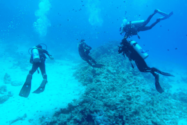 underwater diving Red Sea