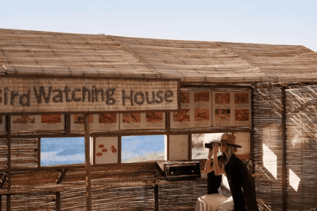 Movenpick Resort Aswan 1