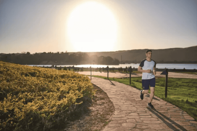 Movenpick Resort Aswan