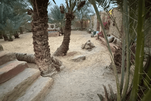 Siwa Oasis lodging guide