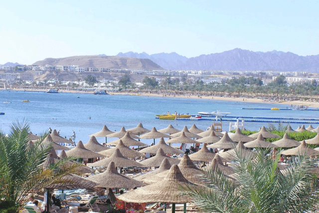 things to do in Naama Bay at night