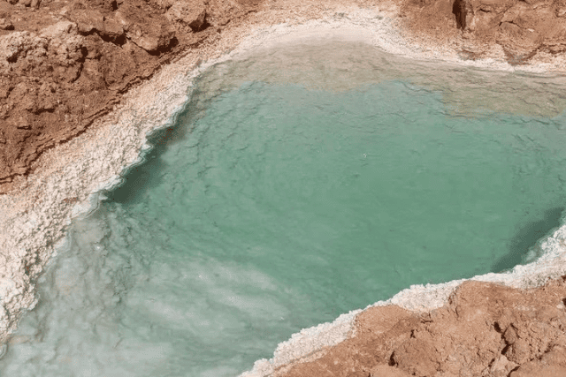 Desert oasis swimming