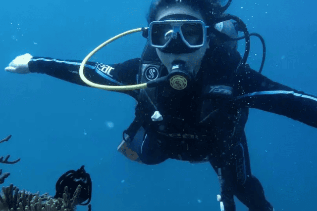 Boracay Scuba Diving Discover Scuba Diving (No Certification) Includes Equipment + Free Underwater Photos & Videos.