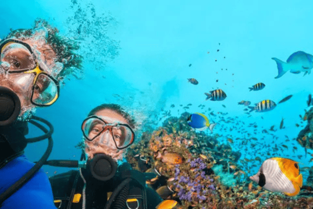 Hurghada Scuba Diving for Beginners & Certified Divers.