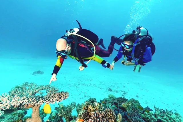 Ras Mohamed Diving Experience from Sharm with Private Transfer