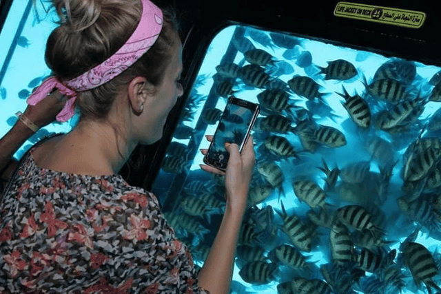 Royal Sea Scope Submarine Tour – Sharm El Sheikh, Suitable for all ages and fitness levels.