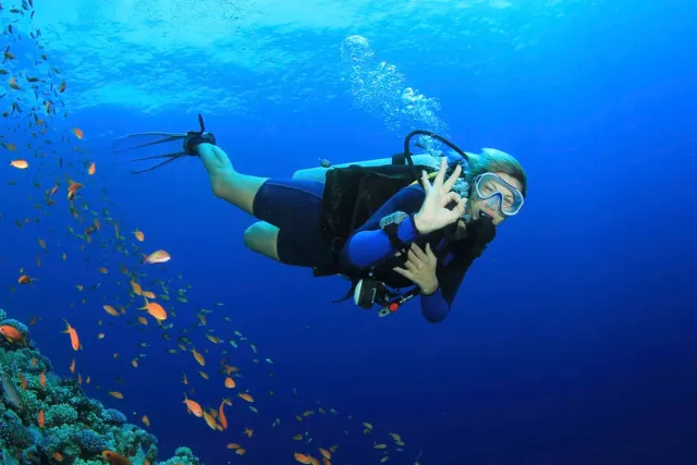 Snorkeling tours in Sharm El Sheikh