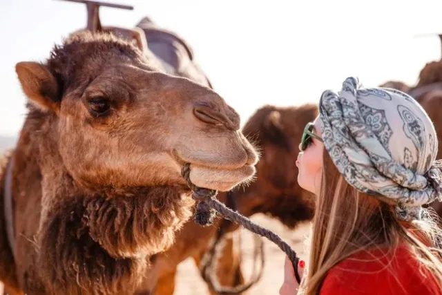 Sharm El-Sheikh Half-Day ATV Mountain & Desert Tour with Horseback Ride