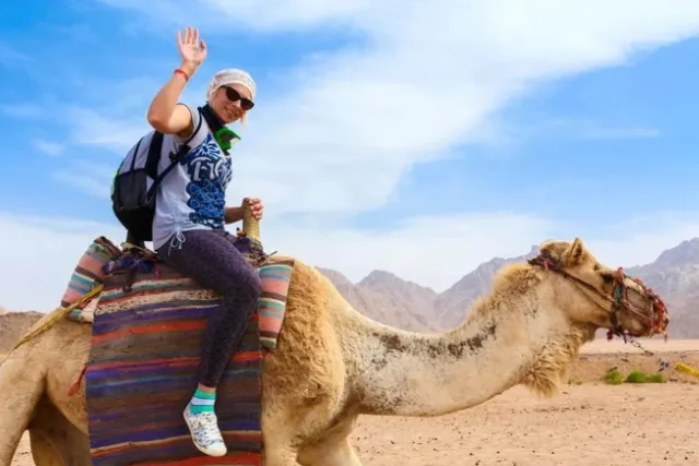Sharm El Sheikh Half-Day Desert Safari Adventure