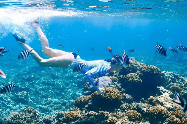 Sharm El Sheikh Snorkeling Day Trip To White Island & Ras Mohammed By VIP Boat With Transfer & Lunch.