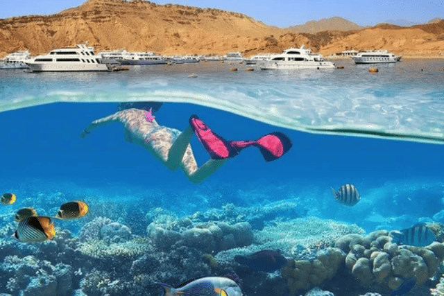 Snorkeling trip to White Island & Ras Mohammed in Sharm El Sheikh.