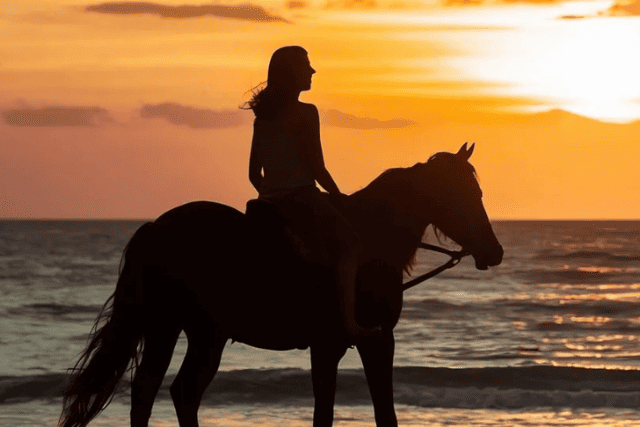 Sunset Hurghada Horseback Riding Desert & Sea Adventure.