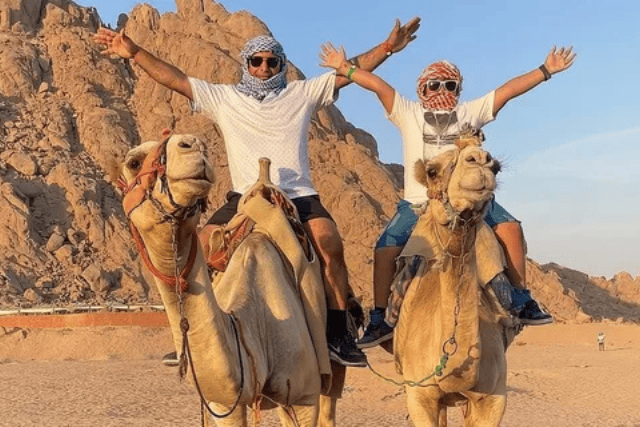 Super Safari with Camel Riding & Dinner and Show in Sharm El Sheikh.