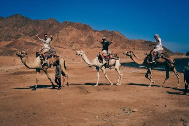 top eco tourism places in Egypt