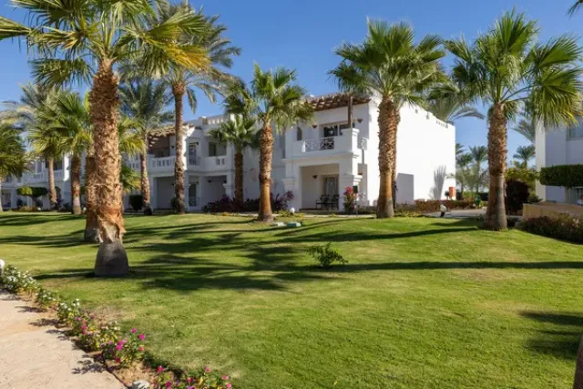 Continental Plaza Beach Resort Review Sharm El Sheikh