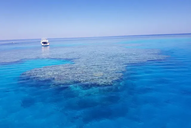 Dolphin House Marsa Alam