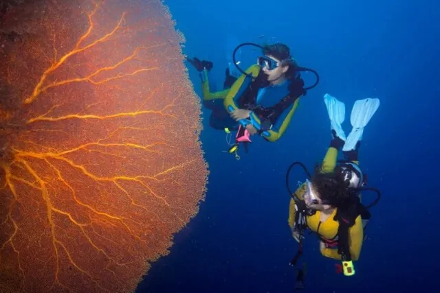 PADI Scuba Diving Course Open Water in 3 Days - Hurghada