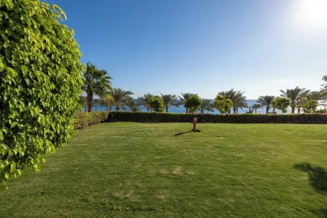 Sharm El Sheikh Hotels