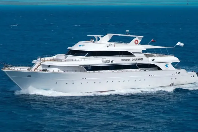 Swim with dolphins Red Sea