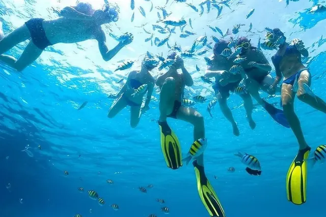 Snorkeling trip to White Island & Ras Mohammed in Sharm El Sheikh