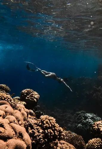Diving in Sharm El Sheikh