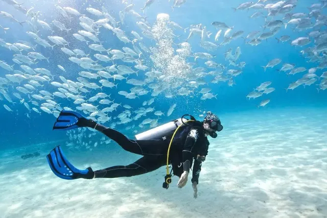 Scuba Dive for Beginners with Expert Guide - Sharm El Sheikh.