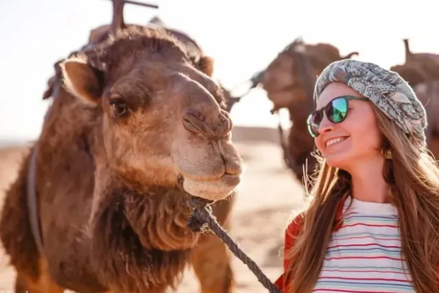 Sharm El Sheikh 6-in-1 Desert Safari & Stargazing Tour