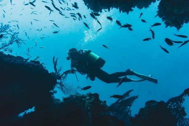 Sharm El Sheikh diving
