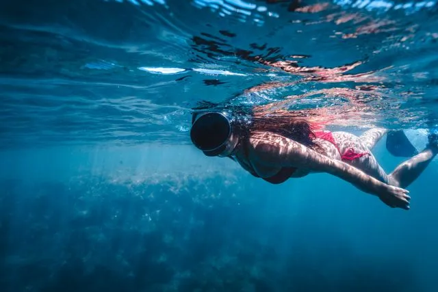 Sharm El Sheikh snorkeling