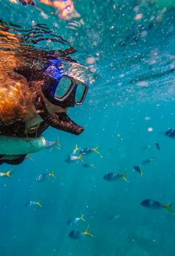 snorkeling in Sharm El Sheikh